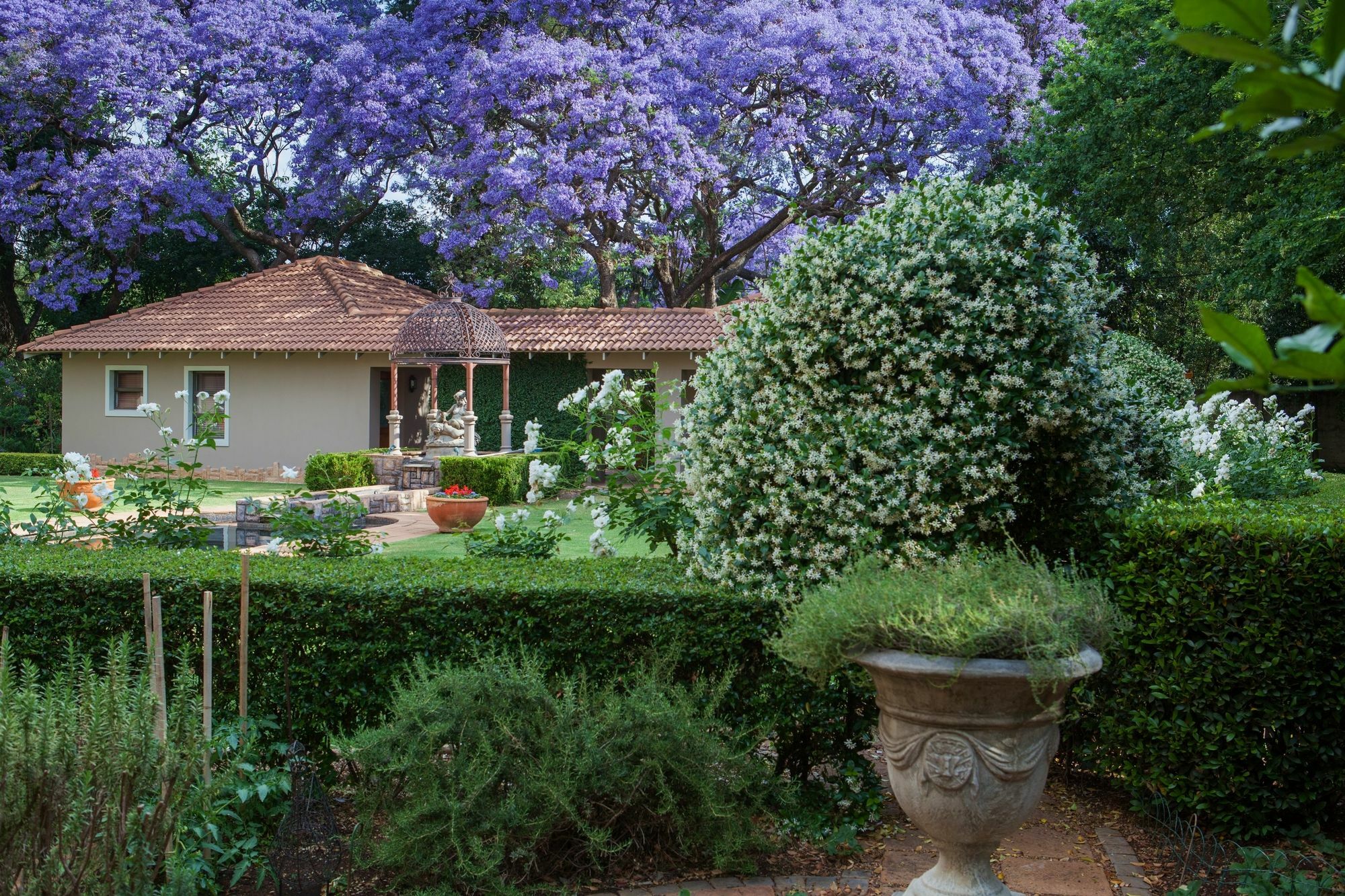 Bed and Breakfast 58 On Hume Johannesburg Exteriér fotografie
